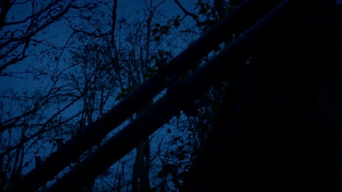 黄昏时在令人毛骨悚然的树林中的老建筑和管道