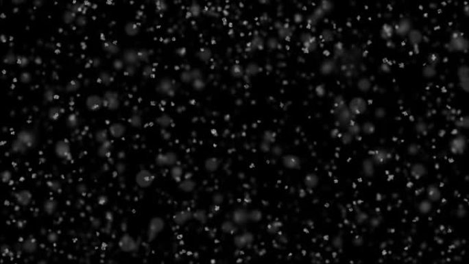 美丽的落雪平静的天气在黑色背景上无缝。慢动作循环3d动画。阿尔法哑光。