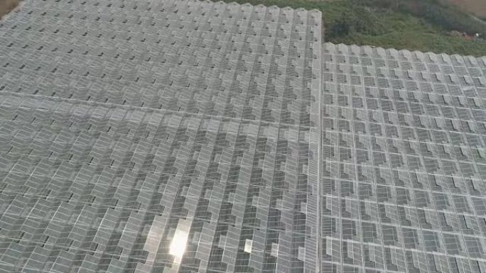 屋顶玻璃覆盖的绿色农场4k
