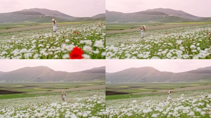 WS旺盛的年轻女子在意大利翁布里亚卡斯特鲁乔的田园诗般的野花草地上奔跑