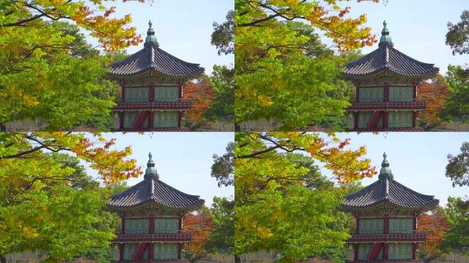 韩国秋季的景福宫韩国秋季的景福宫