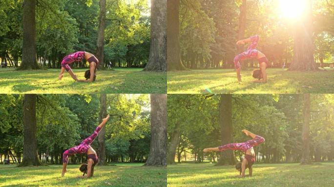 女士灵活的年轻女子在阳光公园练习瑜伽后弯和前臂劈裂