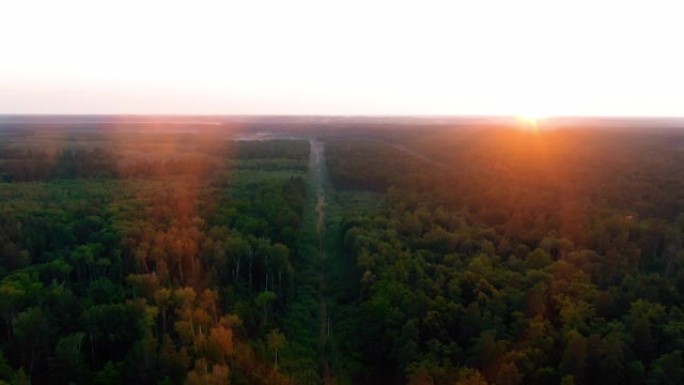 空中4k在夕阳下飞越美丽的松树森林。黄金时段日落色彩史诗般的荣耀灵感徒步旅行和旅游概念