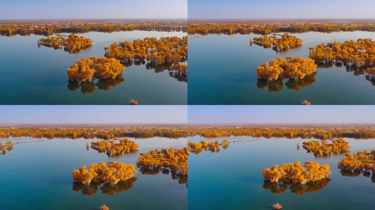 新疆鸟瞰图大美新疆新疆航拍新疆秋季美景