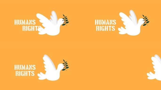 鸽子飞行的人权动画