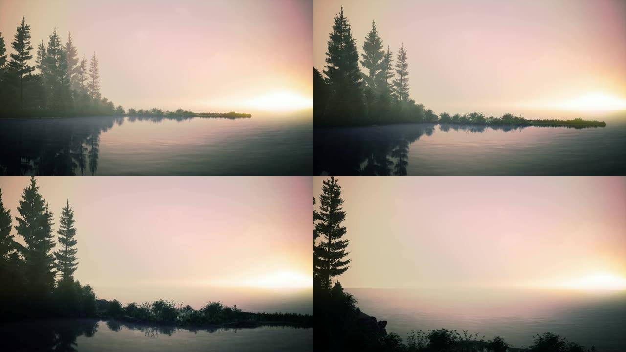 黎明时湖上有树的薄雾。