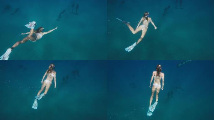 美丽的女人和海豚一起游泳