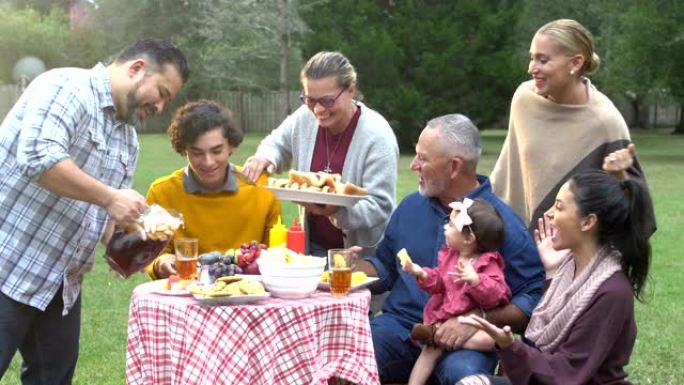西班牙裔家人和朋友在野餐时吃饭