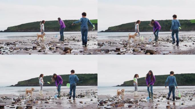 儿童和宠物狗带着渔网在寒假海滩上探索岩石池 -- 慢动作拍摄