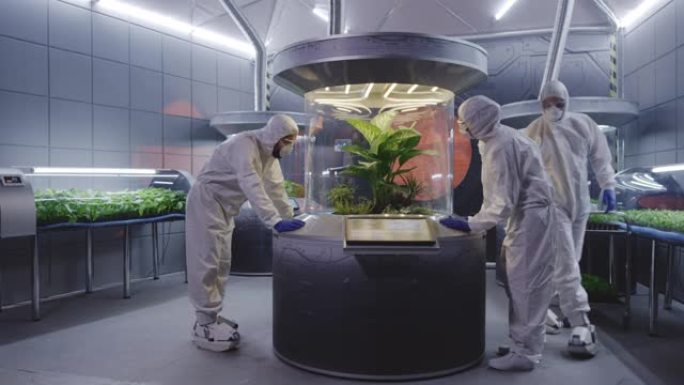 科学家穿着防护服检查植物孵化器