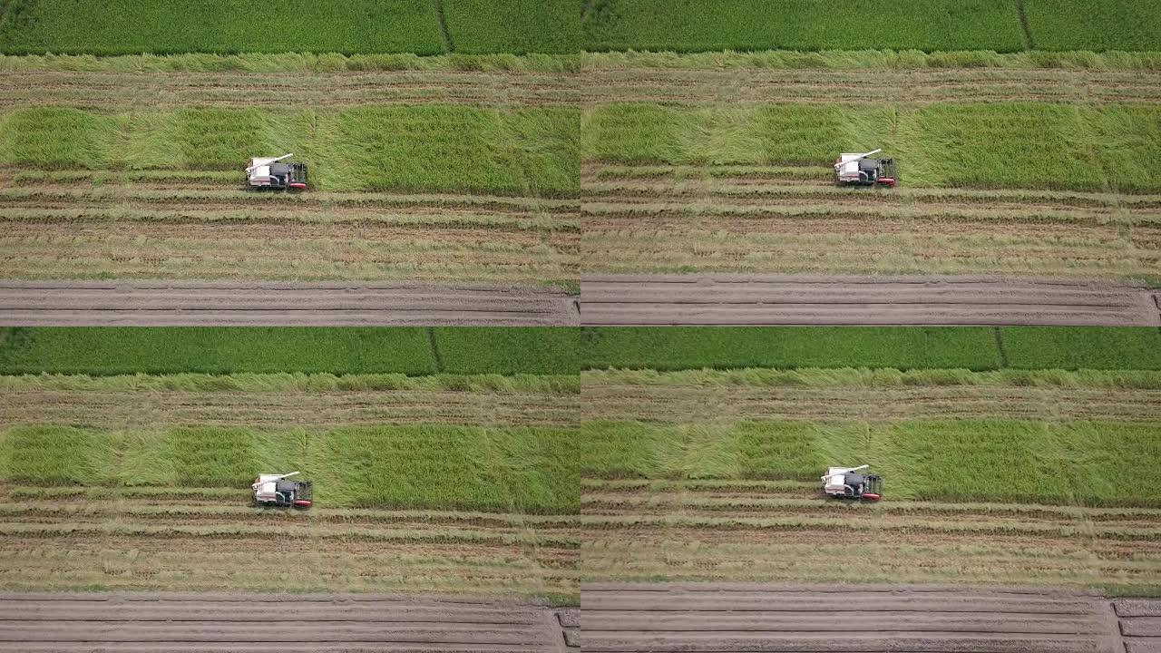 空中俯视农业收获玉米机器，农业概念
