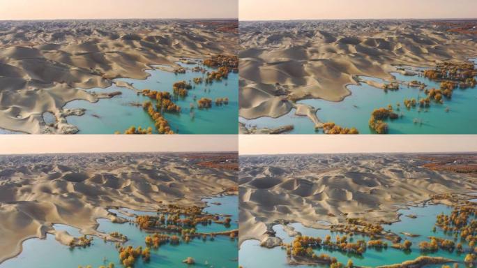 新疆鸟瞰图沙漠绿洲航拍沙漠秋景