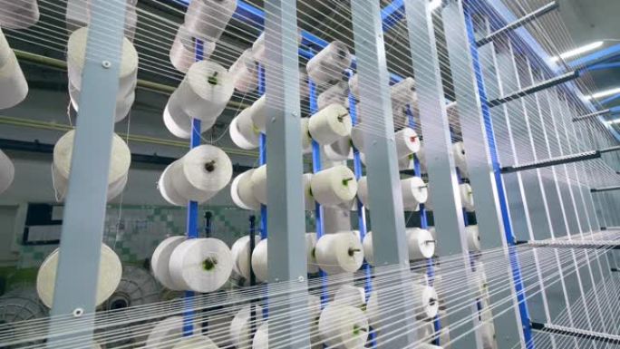 一排排白色的绳子盘绕在纺织厂的线轴上。