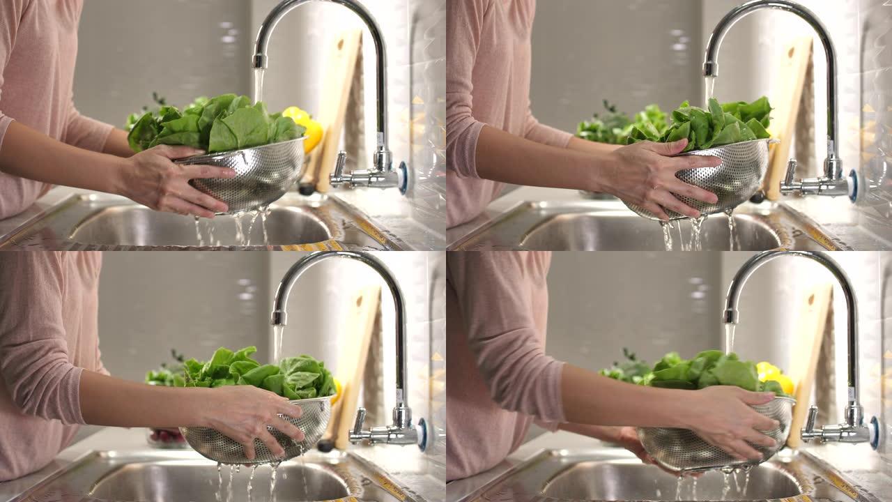 洗涤绿色沙拉清洗家庭主妇净水