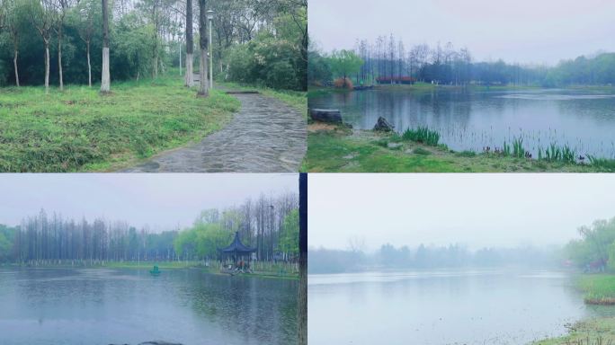 城市公园春天烟雨湖水垂柳风景雨景