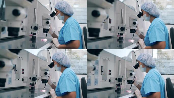 女性医生在人工受精过程中使用医学显微镜工作。在科学实验室进行人工授精。