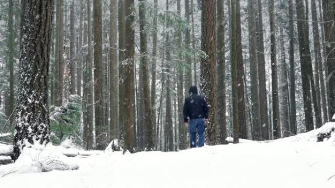 男子在白雪皑皑的森林中行走