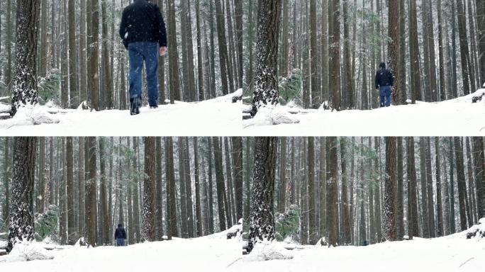 男子在白雪皑皑的森林中行走