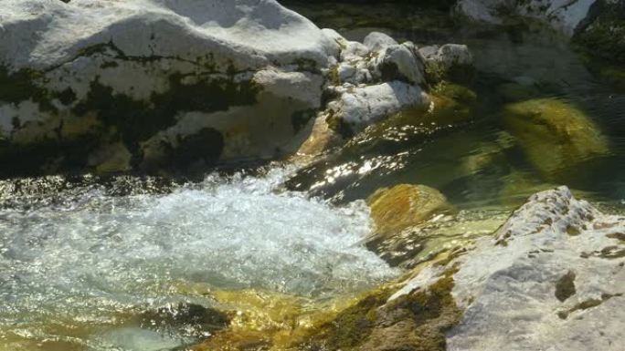 特写: Bohinj的清澈山流沿着岩石河床流动