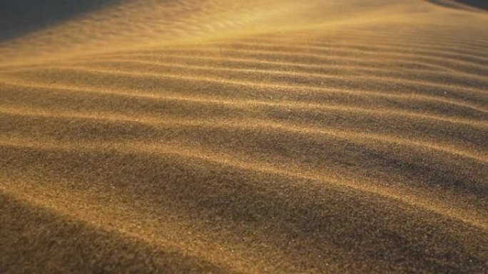 沙漠中的沙尘暴。风中吹过沙丘的沙子