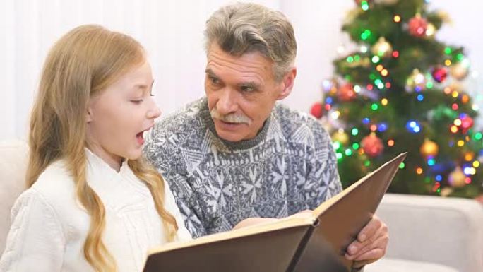 祖父和一个女孩在圣诞树附近观看相册