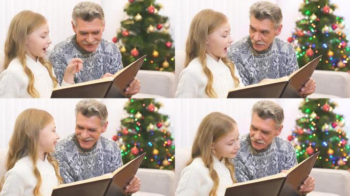 祖父和一个女孩在圣诞树附近观看相册