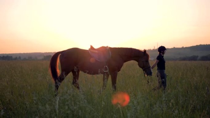 女骑手在日落背景上骑马。