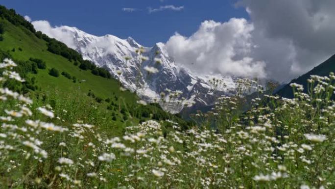 白雪皑皑的高加索山脉，被如画的灰色云彩所触动。山麓上的绿色草地和森林。前景中的雏菊野花。起重机射击，