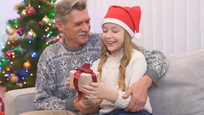 快乐的祖父给圣诞树附近的一个女孩一个礼盒