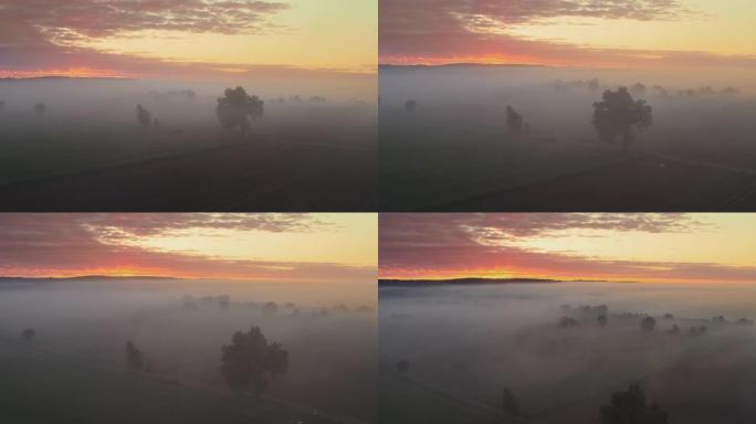 黄昏时覆盖农村的空中雾