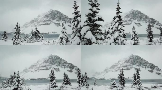 冬天的弓湖冬季景色下雪粒子雪景拍摄