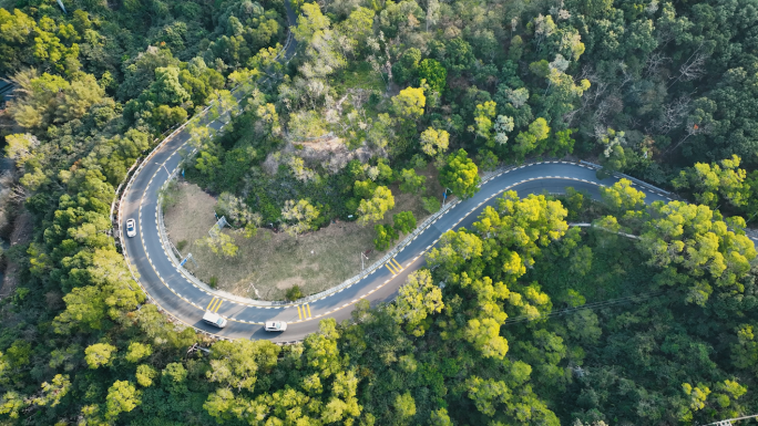 森林山路车流开车绿色出行新能源车