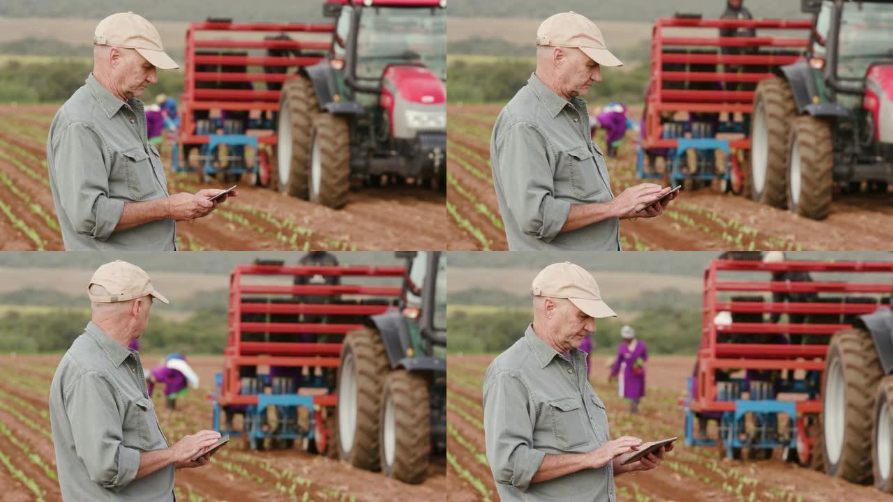 在大型蔬菜农场上监视带有平板电脑的自动种植机的农民的4k特写视图