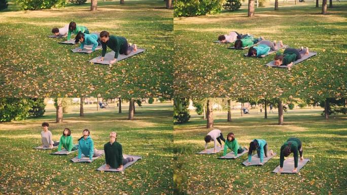 穿着时髦运动服的迷人女孩在温暖的秋日在公园的垫子上做一系列瑜伽练习。健康、积极的生活方式和年轻人的观