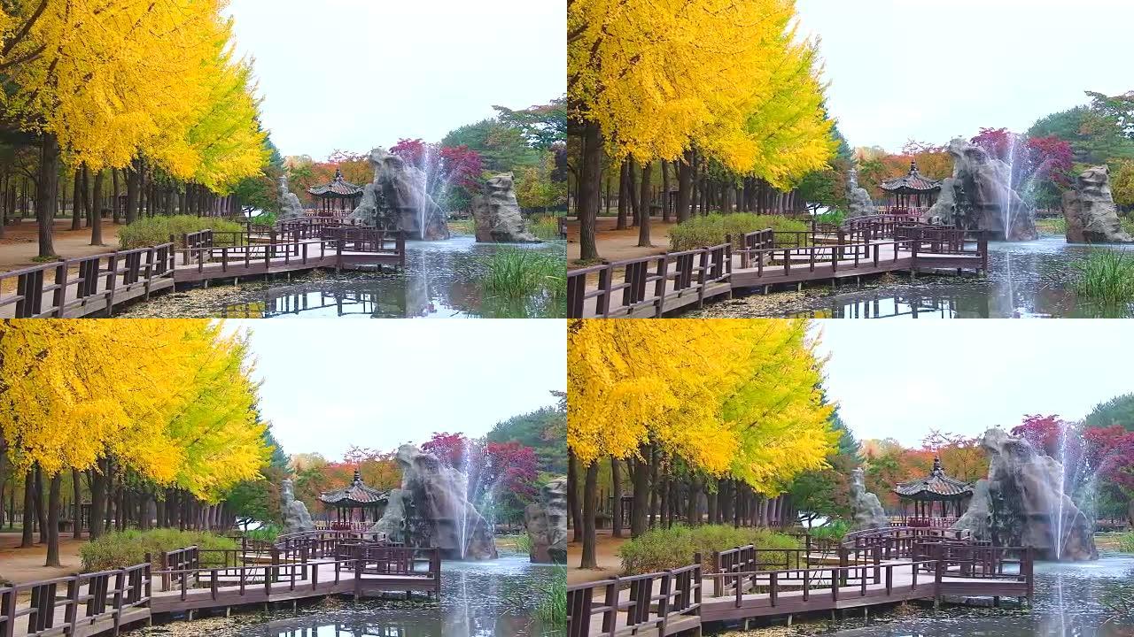 韩国秋天的南美岛景色