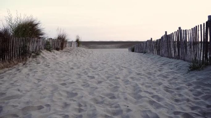 空海滩覆盖着芦苇和旧木栅栏。罗纳河谷