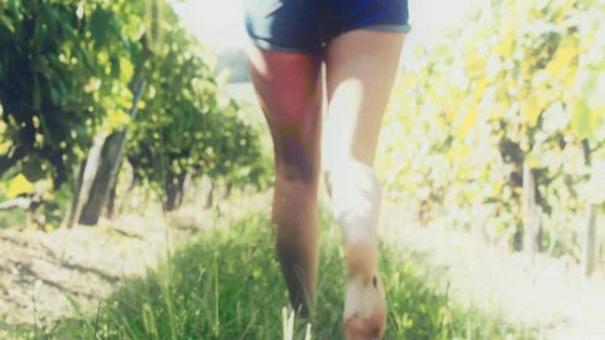 CU无忧无虑的赤脚女人在阳光明媚的田园诗般的葡萄园里奔跑