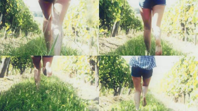 CU无忧无虑的赤脚女人在阳光明媚的田园诗般的葡萄园里奔跑
