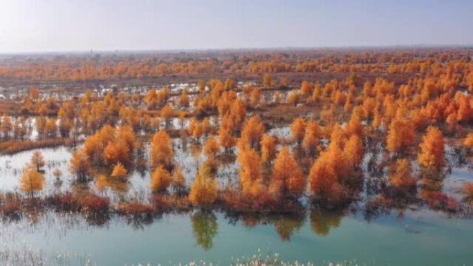 新疆鸟瞰图水面水景岸边湖边视频素材