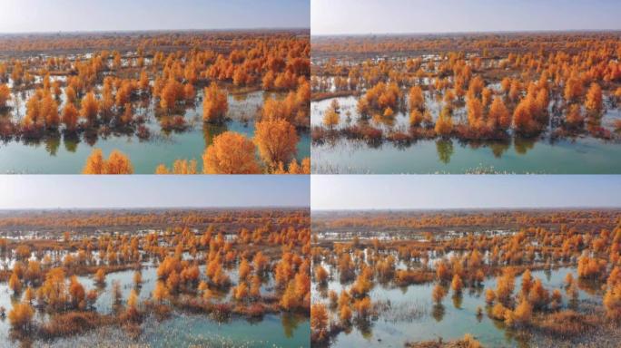 新疆鸟瞰图水面水景岸边湖边视频素材