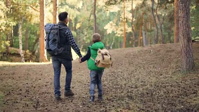 幸福的家庭孩子和父亲在森林里散步，背包牵着手说话，男孩正在扔松果。自然、父亲和秋天的概念。