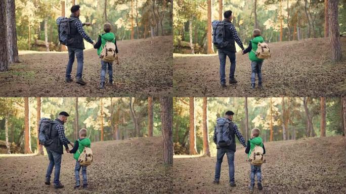 幸福的家庭孩子和父亲在森林里散步，背包牵着手说话，男孩正在扔松果。自然、父亲和秋天的概念。