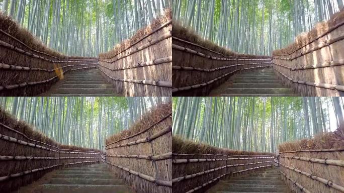 走道竹隧道命名为京都的岚山竹林，日本旅游地标