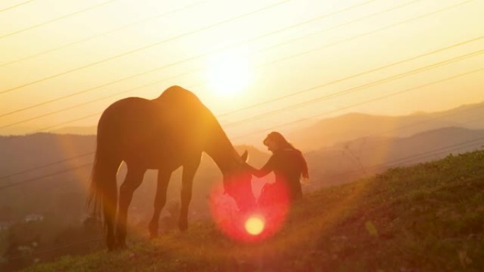 太阳耀斑: 日出时，快乐的年轻女子在牧场上与种马结为纽带。