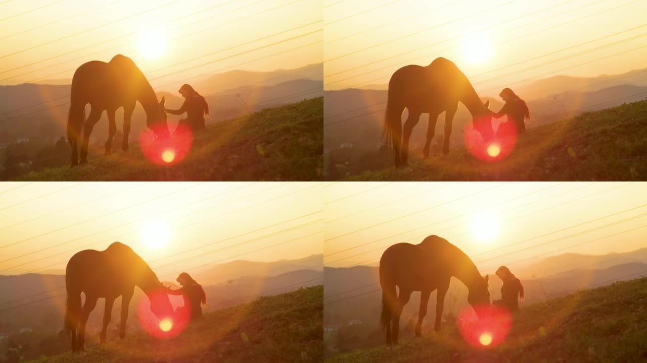 太阳耀斑: 日出时，快乐的年轻女子在牧场上与种马结为纽带。