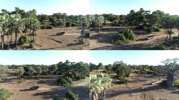 在津巴布韦gonarrezhou国家公园，一辆4x4野生动物园车辆驶过棕榈树的空中缩小视图
