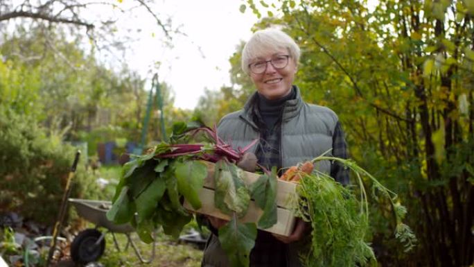 微笑的高加索奶奶在花园里摆着新鲜蔬菜