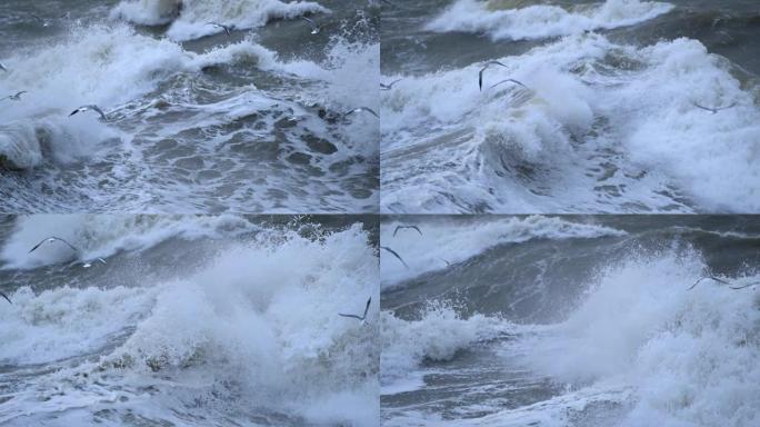 巨大的强大波浪破碎。风暴和大风期间的海浪。慢动作镜头