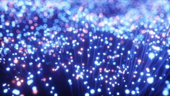 数以百万计的光纤电缆以混沌运动传输信号。红色和蓝色电缆