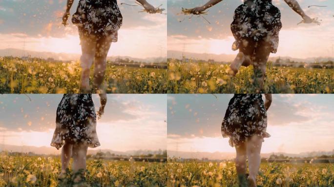 SLO MO女人在蒲公英中奔跑